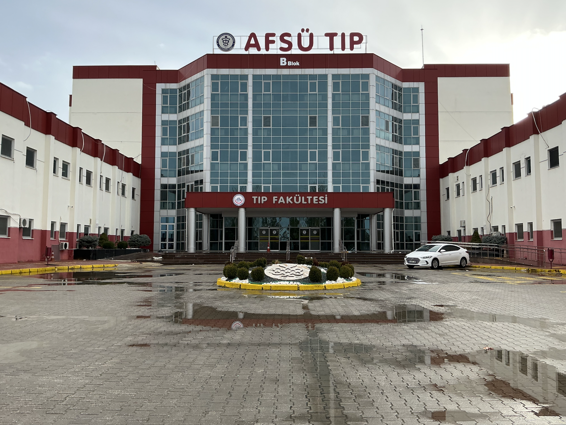 Turkey's First Autologous Stem Cell Transplant Successfully Performed on 84-Year-Old Lymphoma Patient in Konya