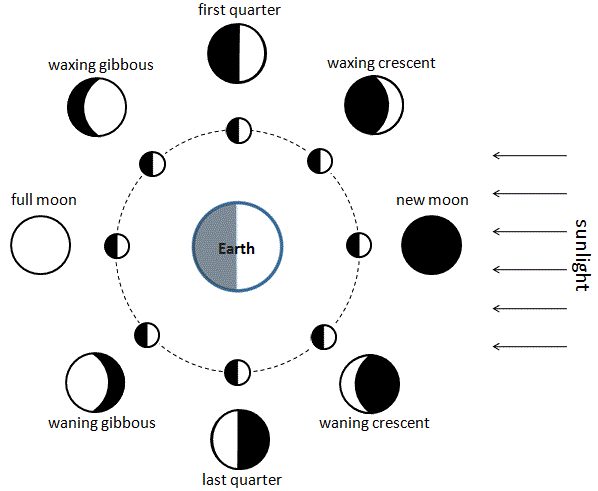 The Week Ahead Under a Waning Gibbous: What I Got Wrong About Release